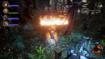 Dragon Age  Inquisition - My first encounter with a dragon