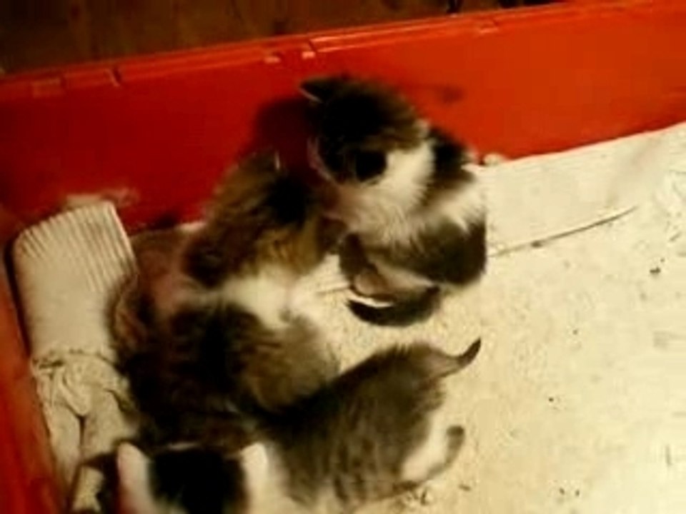 IMGP1628