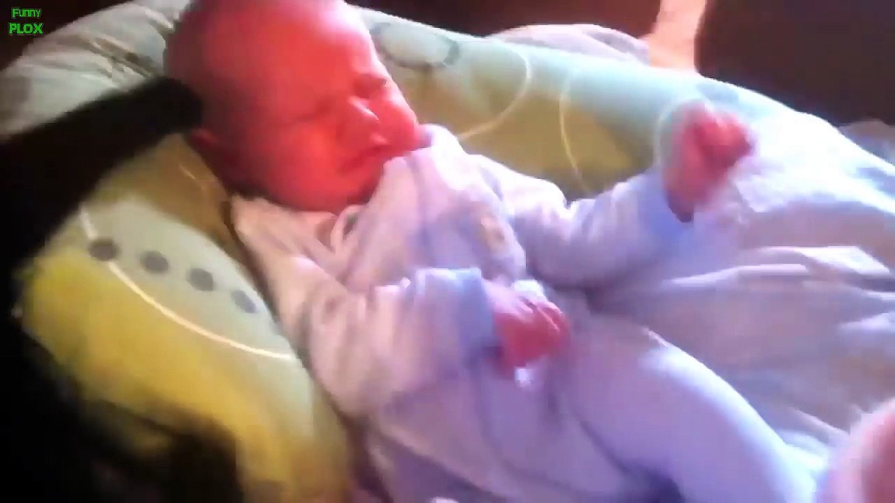 Best Babies and Animals Compilation 2013