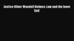 PDF Justice Oliver Wendell Holmes: Law and the Inner Self Free Books