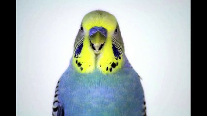 The Ultimate Vlog Compilation 🎥