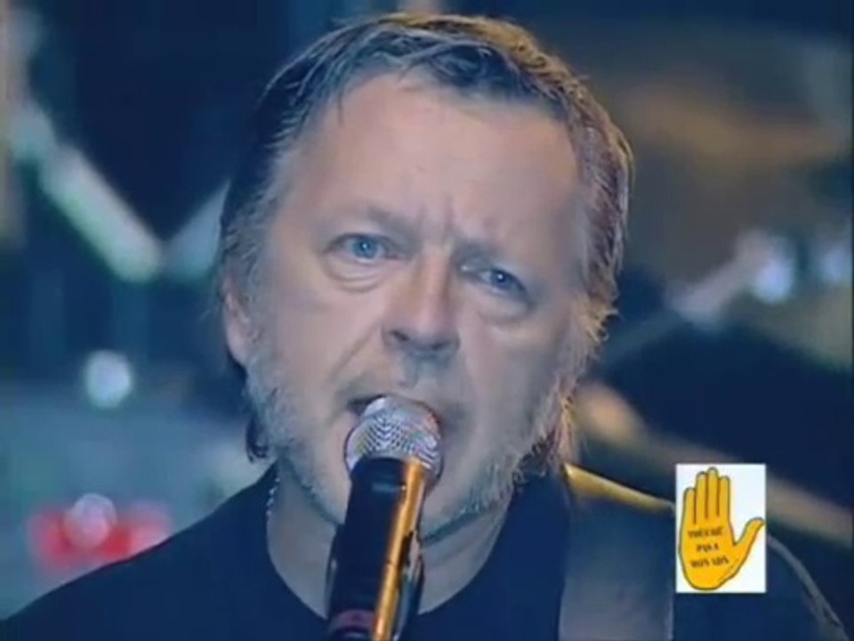 pensée très triste pour les taureaux en cette saison de corridas qui bat son plein avec les ferias en Espagne