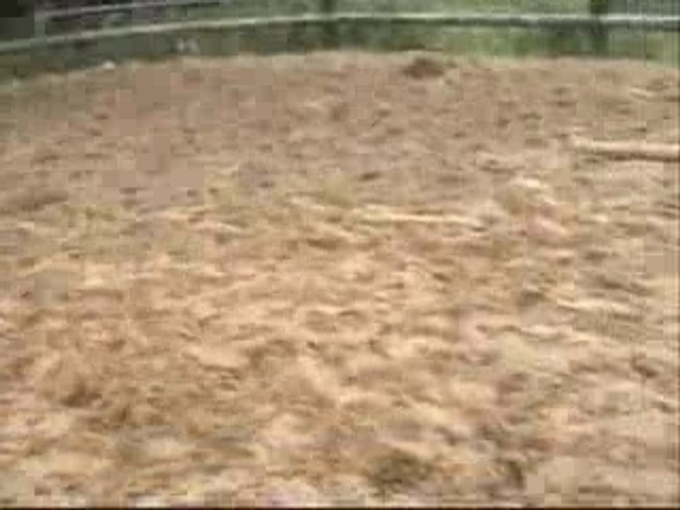 Rebel 1ere seance saut en liberte