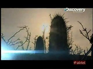 72 Hours 21st June 2014 Video Watch Online pt1