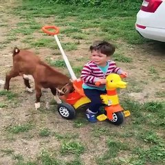 واہ یار زبردست