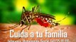 Salud Dengue - precauciones