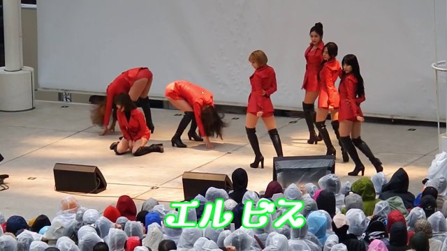 AOA - ELVIS (声援練習用)