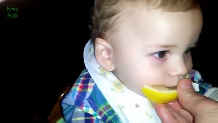 Babies Eating Lemons for the First Time Compilation 2014