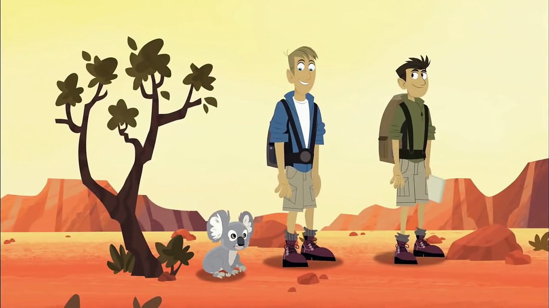 ⁣Wild Kratts - All About Koalas