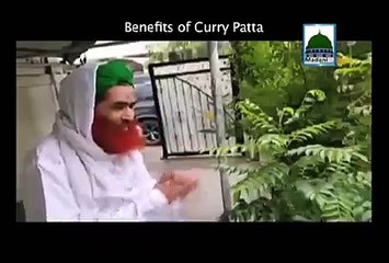 benefits of curry patta