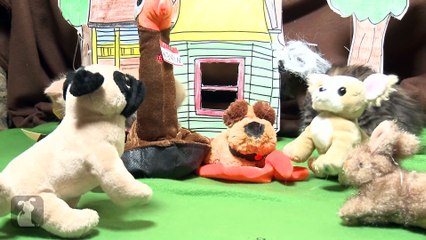 Disney Pixar s Up (Cute Kitten Version)