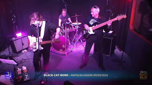 BLACK CAT BONE - Part Music