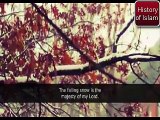 Emotional Bayan by Maulana Tariq Jameel 2016 | ALLAH Kon he | wHO IS ALLAH