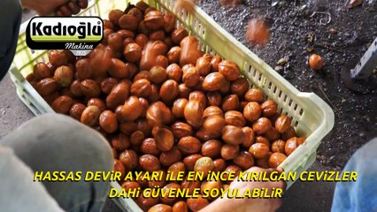 Kadıoğlu Ceviz Kavlama Makinesi