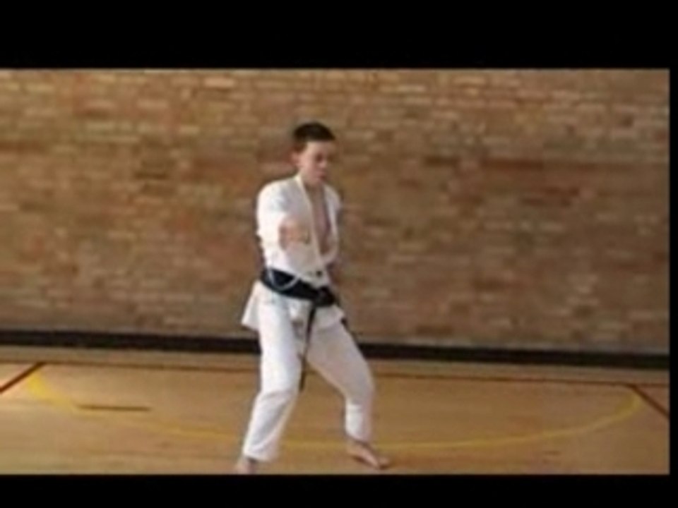 Nijushiho shotokan karate kata