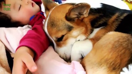 Babies and Animals Sleeping Together Compilation 2016