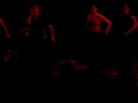 Flamenco - tangos - Grand Unisson (St Jean de la Ruelle)