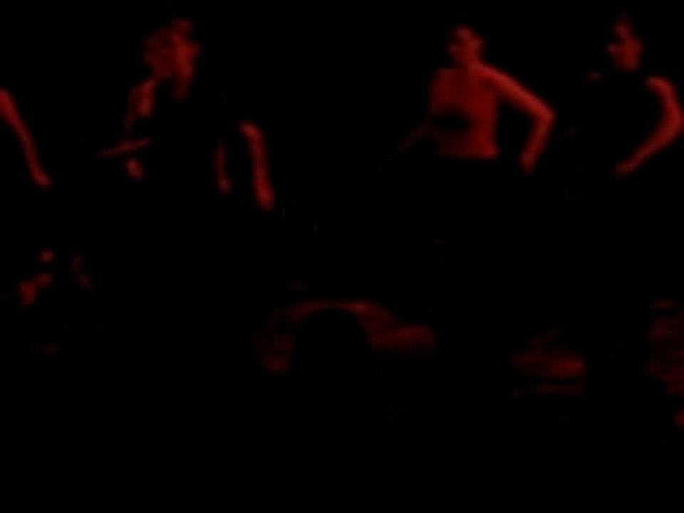 Flamenco - tangos - Grand Unisson (St Jean de la Ruelle)