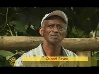 B.World Connection - Les Marrons de la Jamaïque 2/3