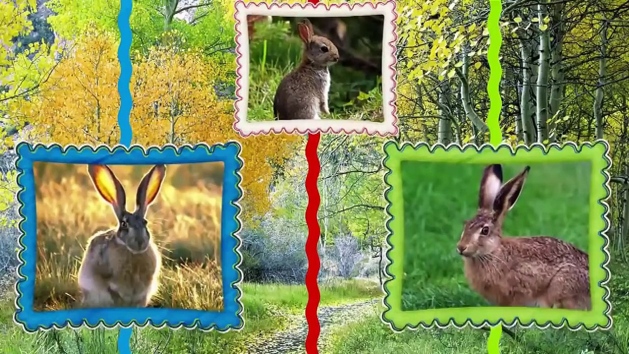 Животные и их детки. ПРОФЕССОР_КАРАПУЗ