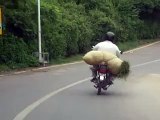 carrying bushes on bike