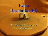 Iwata Revolution BR 2
