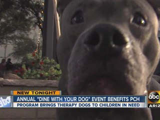 Dine with Your Dog raises money for PCH therapy dog program