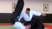 Les sélections techniques Aikido de Michel Erb Sensei Part 18 Tachi Waza Chudan Tsuki Kokyunage