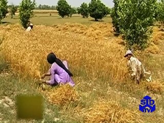 SDPI Report: CARIAA Meeting