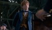 Les Animaux Fantastiques, le spin-off d'Harry Potter (VO)