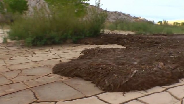 Des débris coule dans le lit d'une rivière sèche !