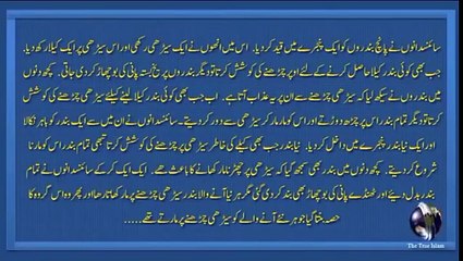 Main apne baap dada ka mazhab nahi choroon ga Worth watching