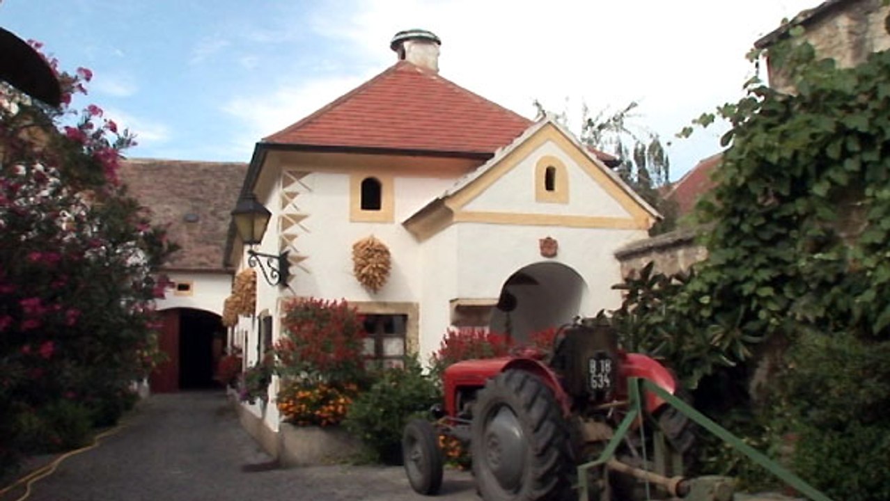 Burgenland Teil 1: Wein