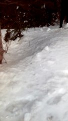 Murree After Snowfall