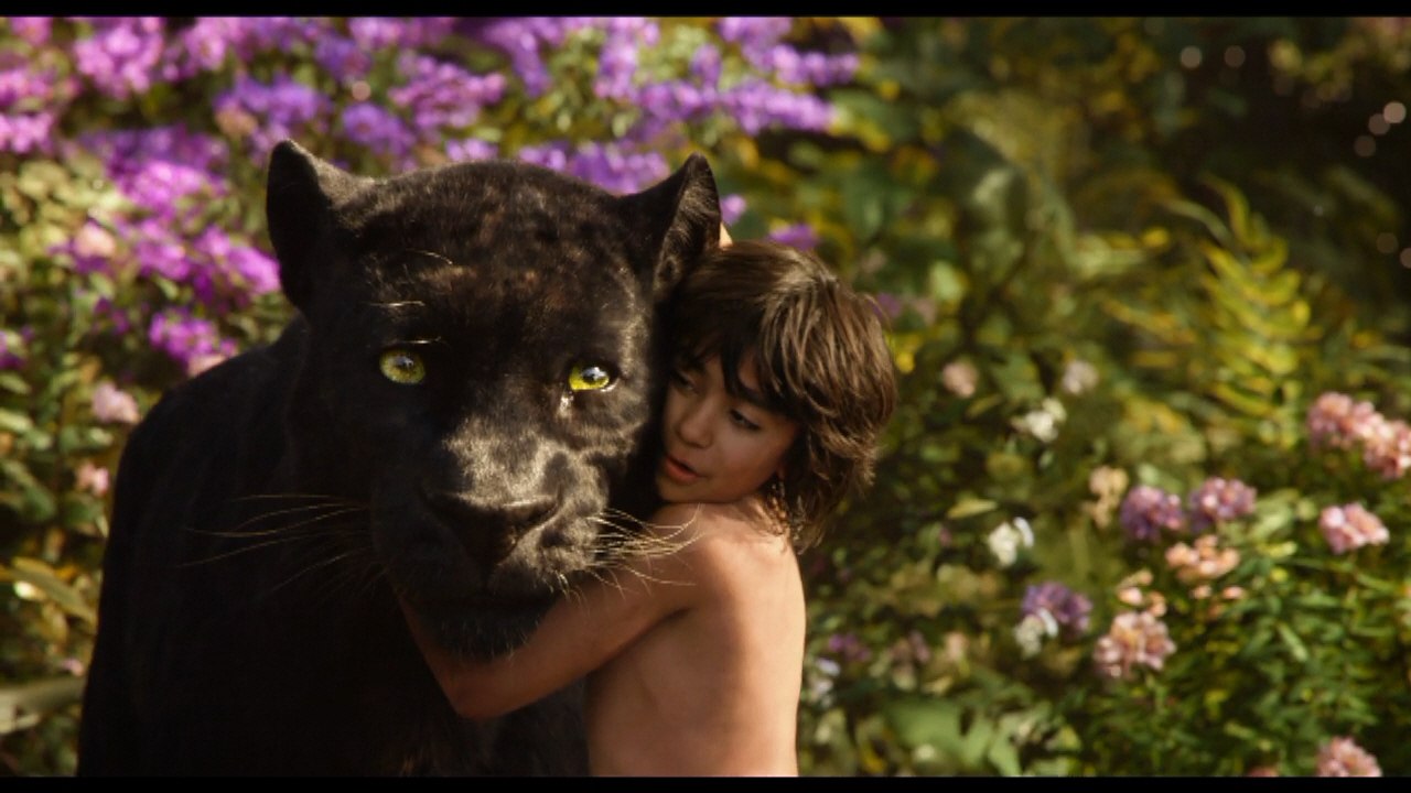 An In Depth Look At 'The Jungle Book' And Premiere