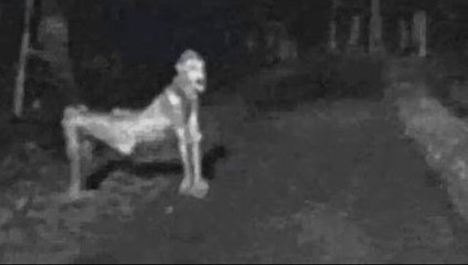 خمسة مشاهد غير مفسرة التقطتها الكاميرا