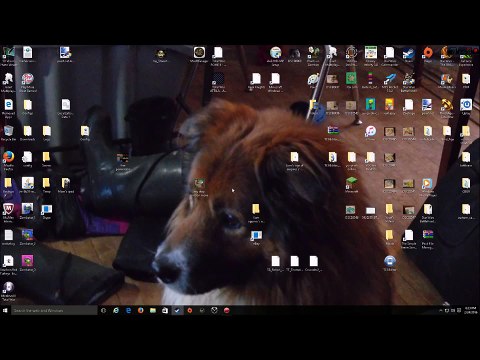 How to fix Rome Total War and Alexzander Total War After Windows 10