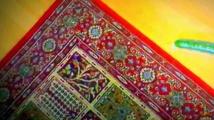 Why We love Cats and Cucumbers(And You Should, Too!)