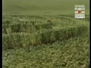Reportage planète crop circles partie 2...