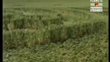 Reportage planète crop circles partie 2...