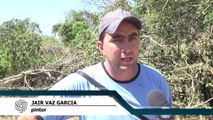 Polícia do Meio Ambiente de Divinópolis investiga o caso de desmatamento em Carmo do Cajuru