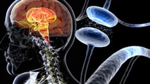 What Is Parkinson's Disease:  Symptoms, Treatments || Health lifestyle