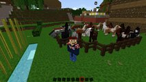 ᚖ Minecraft 7 FACTS über das Pferd ᚖ - NiperHD 7 Facts #002