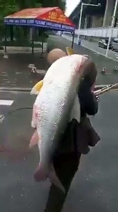 أقوى صياد على عمر التاريخ  ، تبركالله  !!