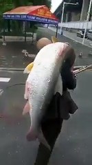 أقوى صياد على عمر التاريخ  ، تبركالله  !!