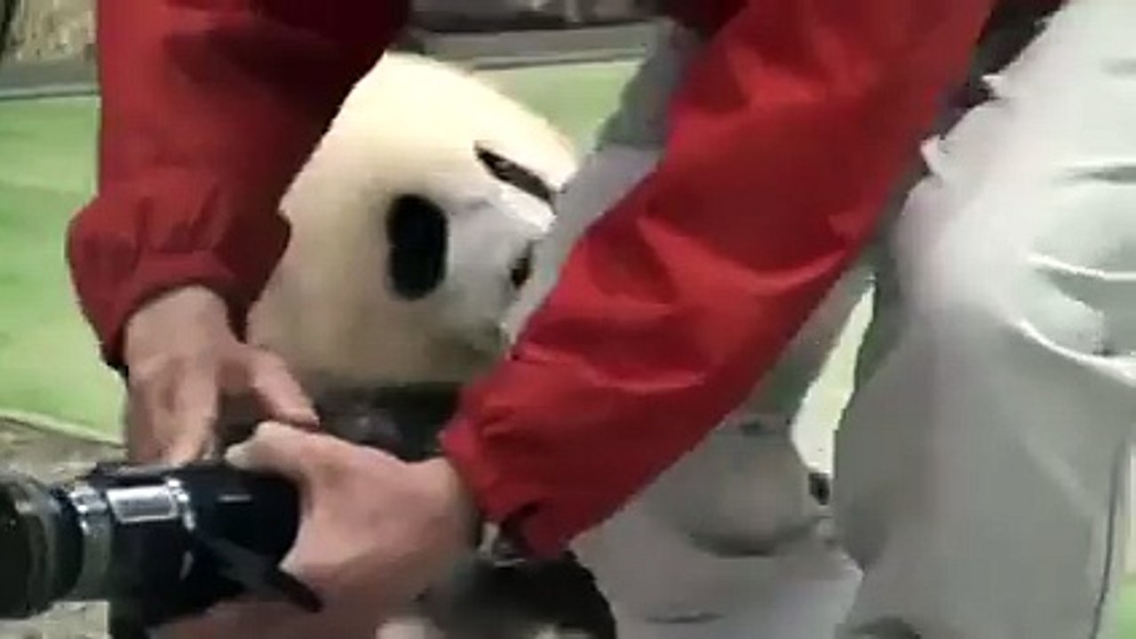Pandaa Do OutStanding