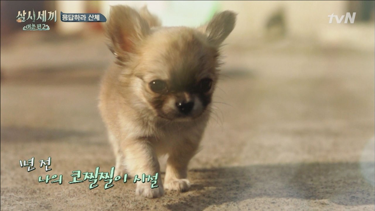 '아기'산체의 폭풍 성장기!
