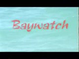 Willinger Beach Boys - Baywatch 2008