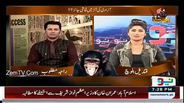 Apke Walid Bhi Tharki Ki Category Me Ate Hain Ya Nahi.. Watch Qandeel's Reply