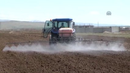 Şeker Pancarı Ekimi Sürüyor